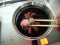 明石タコを茹でてみた！