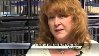 Animals Moved into New Knox-Whitley Animal Shelter