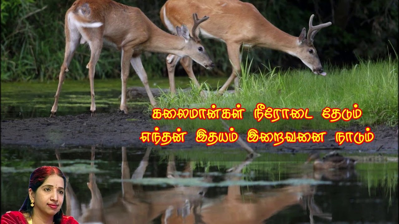     KalaiMaangal Neerodai Thedum   Swarnalatha   Devotional Tamil Song