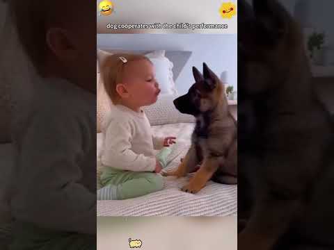 Baby Funny Comedyvideos