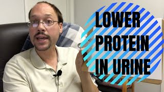 How To Lower Protein in urine, Proteinuria & Improve Kidney Health & Kidney Function