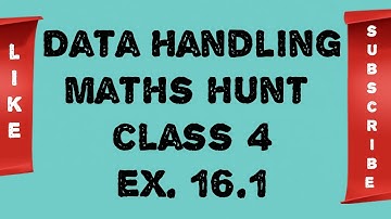 Maths hunt class IV ex. 16.1 Data Handling