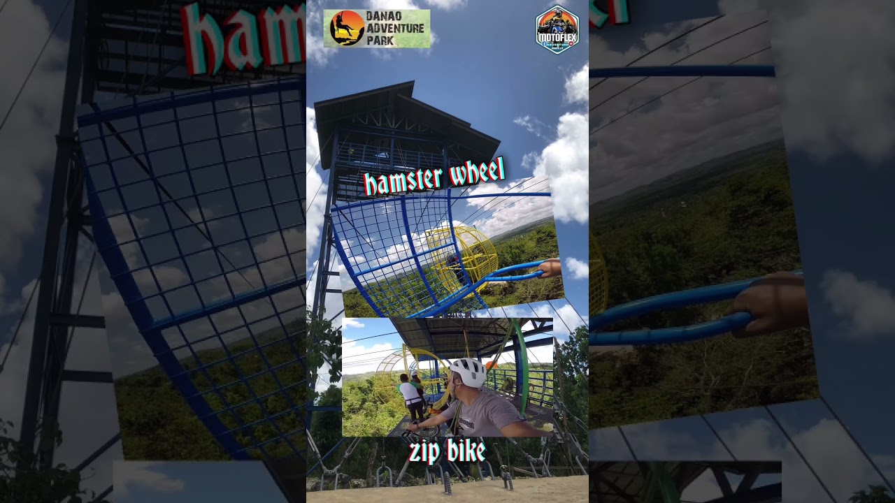 Hamster wheel and zip bike experience 