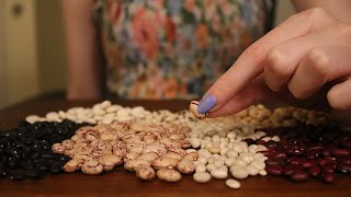 ASMR Bean Counting & Sorting (Whispered) 1HR screenshot 4