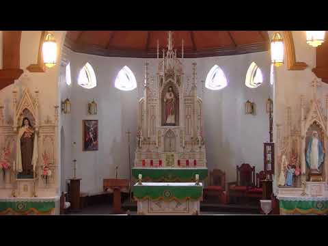 Live Camera Axis V5925