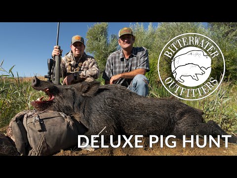 Bitterwater Outfitters Deluxe Pig Hunt Experience