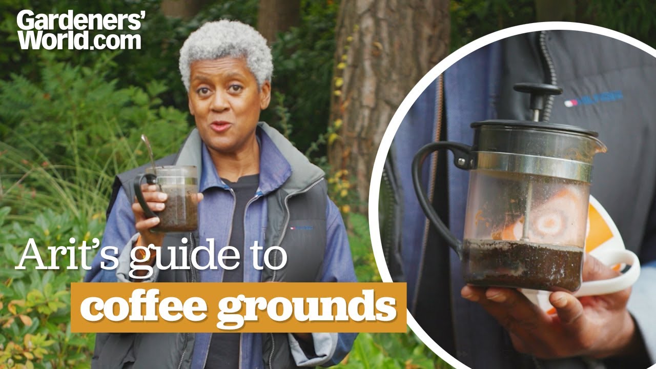 How to use COFFEE GROUNDS in the garden | Arit's guide - YouTube