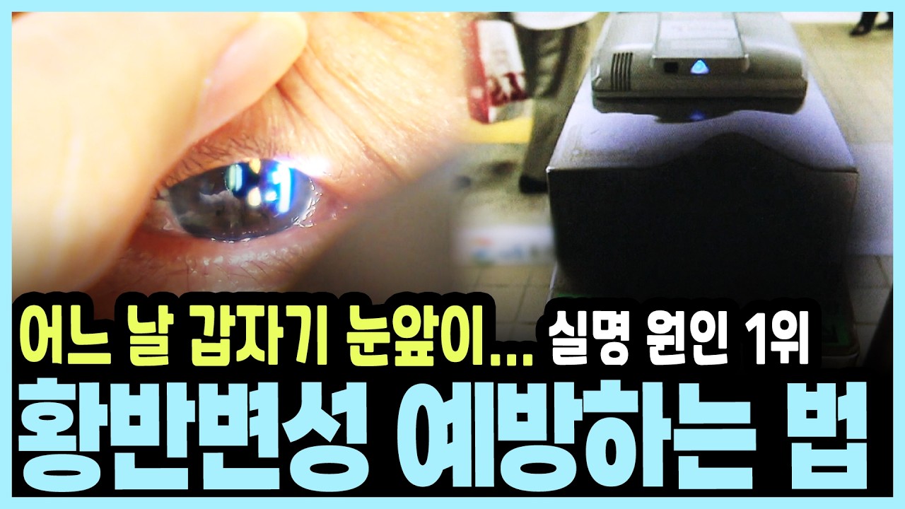 백내장보다 무섭다? 나도 모르게 시력을 뺏는 '황반변성'의 정체 I KBS 101세의 프러포즈 20170702 방송