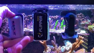 Best Nano Magnet Cleaner For a Reef Tank