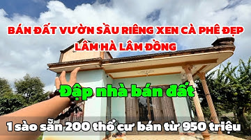 Cần tiền gấp! Chủ đập căn nhà đẹp – bán lô đất mặt tiền nhựa, sẵn vườn cực đẹp!