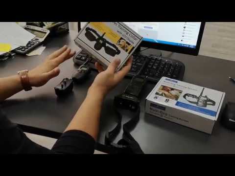 ძაღლის ელექტრო საყელო