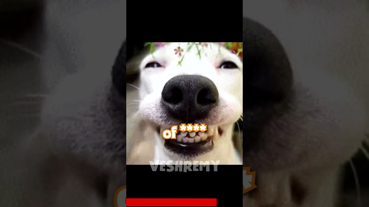 the WEIRDEST veshremy clone RESPONDED Realtime YouTube Live View ...