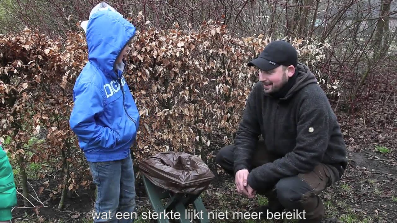 Vlinders in de dorpstuin