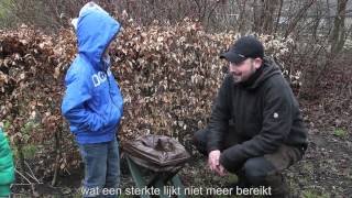 Vlinders In De Dorpstuin