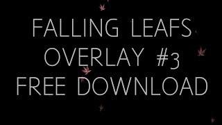 Falling Leafs Overlay #3 60FPS [FREE DOWNLOAD] - Sony Vegas & After Effects