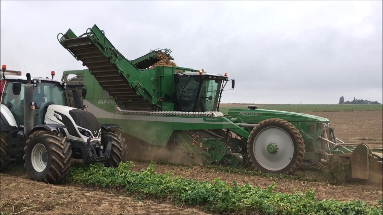 Arracheuse pomme de terre automotrice Pouchain PAP 475