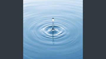 They Trace the Water