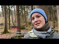 Svizzerando e i bagni di bosco | RSI Info