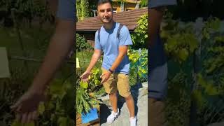 İsviçre’nin masalsı Brienz kasabası #seyahat