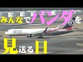 【成田空港】成田が限りなく美しい涙で飾られた日!ジャイアントパンダ・シャンシャン離日のひとコマを追った!