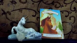 Daily Oracle Reading 11Th August By Fairy Willow With Unicorn Affirmation Tarot Deck Doreen Virtue