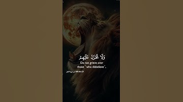 #القرآن_الكريم #تلاوة_خاشعة #راحة_نفسية ادع إلى سبيل ربك #يارب #اكسبلور #لايك #دويتو #القران #الرحمن