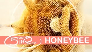 HONEYBEE | 5 Artists in 5 Minutes | LittleArtTalks