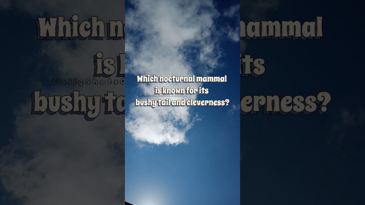 Bushy tail, brainy moves! 😉 