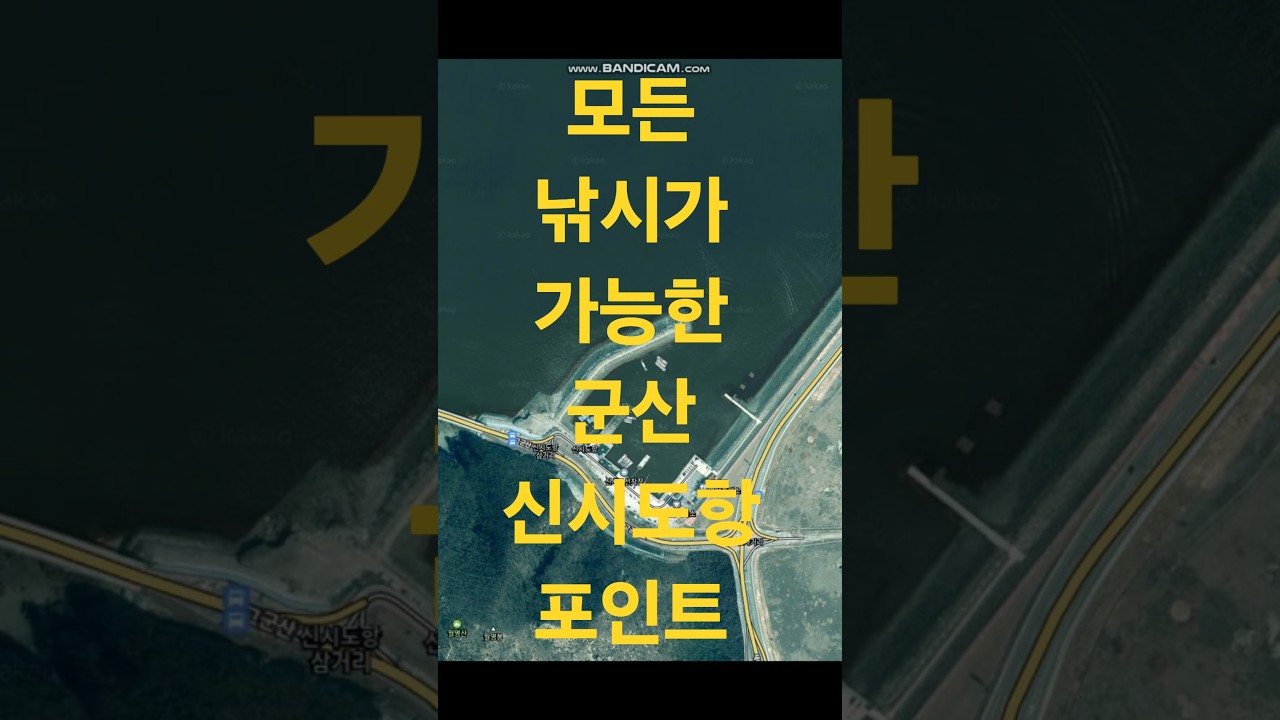 모든 낚시가 가능한 군산 신시도항 포인트!! #shorts