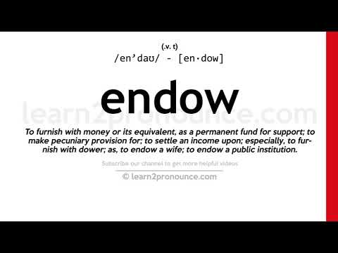Pronunciation Of Endow Definition Of Endow