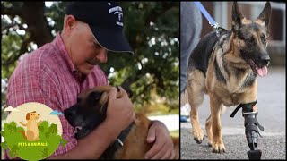 Heroic Navy Seal Rescues Retired “Unadoptable” Military Dogs by Top Animals Story 423 views 3 years ago 3 minutes, 14 seconds