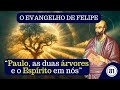 Vdeo 81  evangelho de felipe  paulo a rvore da vida e o esprito em ns