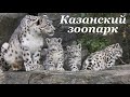 Казанский зоопарк