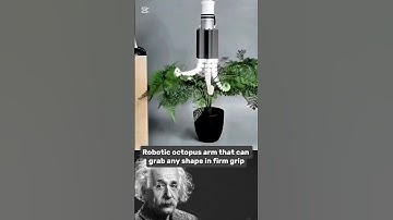 This Robotic Octopus Arm Can Grab ANYTHING So Easily.😱🤖.#shorts #engineering