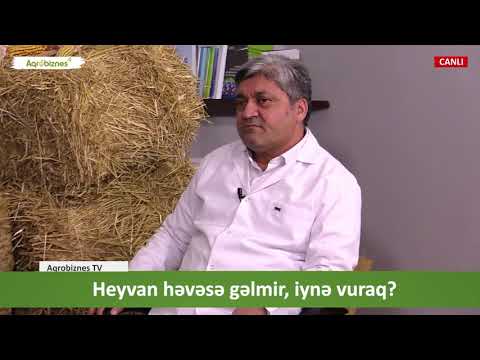 Video: Baytar həkimlərin sadəcə cavab verməsi qanunidirmi?