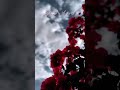 عساهم يذكروني ما نسوني حسين الجسمي عساهم يذكروني ما نسوني حسين الجسمي