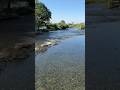 Arunachalpradesh 7km resort Namsai# Arunachal#viralvideo#shorts#shortsvideo#youtubeshorts