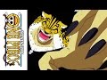 One Piece Season 5 Voyage 4 Available Now Trailer One Piece Season 5 Voyage 4 Available Now Trailer