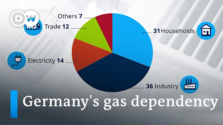 How Germany aims for independence from Russian energy | DW News - DayDayNews