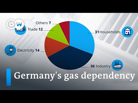 How Germany aims for independence from Russian energy | DW News