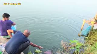 Big Rohu | Fishing Rohu | Fishing We Used Rice Bran Powder  | To Catch Those fishes Video