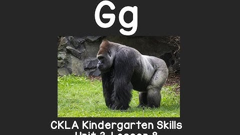 Letter G sound: CKLA Kindergarten Reading Skills Unit 3 Lesson 8