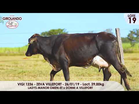 Lote 19   VIGI 1236