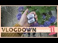 VLOGDOWN - EP2 | developing 19-years expired film & babbling