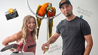 Taking ALL Our Parrots on a Photoshoot!