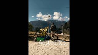 Olive Aesthetics Shake It To The Maxxxxx .