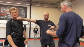 Systema Amsterdam Seminar on Strikes June 2017