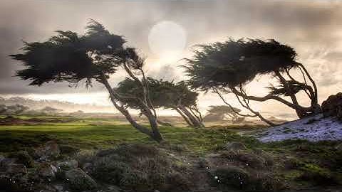 Thumbnail of Nine Worlds - Afterworld - Mars Lasar