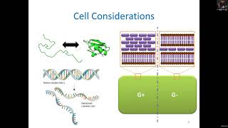 Topic H.1.: Microbial Control Lecture 1