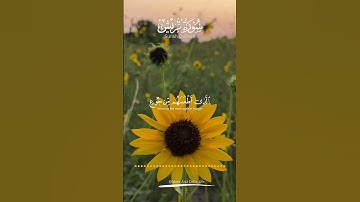Surah Quraish | سورة قريش | Misharay Rasgid Al Fasay #surahquresh  #surahquraish #islamanddailylife